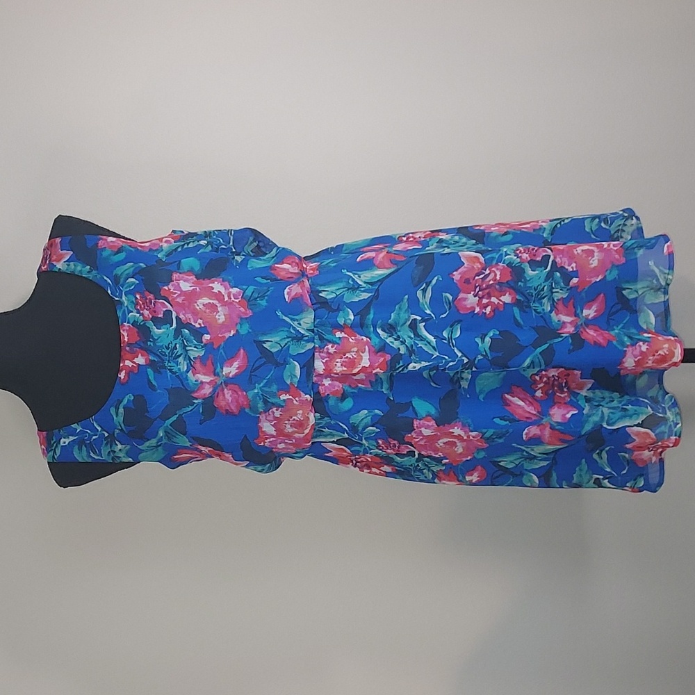 Poet Blue Pink Floral Sheer Overlay Sleeveless Dress Size Small